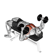Dumbbell Lying Hammer Press animated exercise demonstration