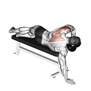 Dumbbell Lying One Arm Deltoid Rear animated exercise demonstration