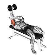 Dumbbell Lying One Arm Pronated Triceps Extension animated exercise demonstration