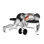 Dumbbell Lying One Arm Rear Lateral Raise animated exercise demonstration