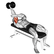 Dumbbell Lying One Arm Supinated Triceps Extension animated exercise demonstration