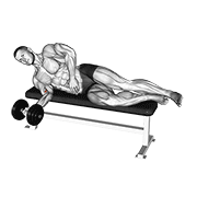 Dumbbell Lying Pronation animated exercise demonstration
