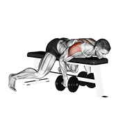 Dumbbell Lying Rear Lateral Raise animated exercise demonstration