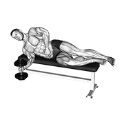 Dumbbell Lying Supination animated exercise demonstration