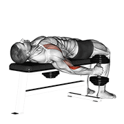 Dumbbell Lying Supine Curl animated exercise demonstration