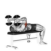 Dumbbell Lying Triceps Extension animated exercise demonstration