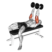 Dumbbell Neutral Grip Bench Press animated exercise demonstration