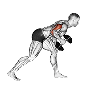 Dumbbell One Arm Kickback animated exercise demonstration