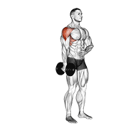 Dumbbell One Arm Lateral Raise animated exercise demonstration