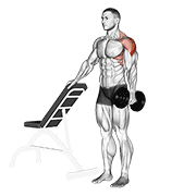 Dumbbell One Arm Lateral Raise With Support animated exercise demonstration
