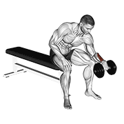 Dumbbell One Arm Reverse Wrist Curl animated exercise demonstration