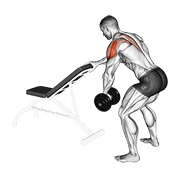 Dumbbell One Arm Reverse Fly (With Support) animated exercise demonstration