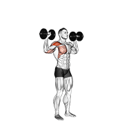 Dumbbell One Arm Shoulder Press animated exercise demonstration
