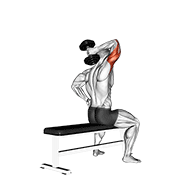 Dumbbell One Arm Triceps Extension (On Bench) animated exercise demonstration