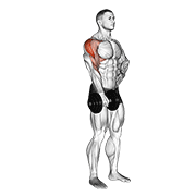 Dumbbell One Arm Upright Row animated exercise demonstration
