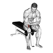 Dumbbell One Arm Wrist Curl animated exercise demonstration
