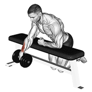 Dumbbell Over Bench One Arm Wrist Curl animated exercise demonstration