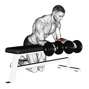 Dumbbell Over Bench Revers Wrist Curl animated exercise demonstration
