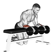 Dumbbell Over Bench Wrist Curl animated exercise demonstration