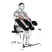 Dumbbell Peacher Hammer Curl animated exercise demonstration