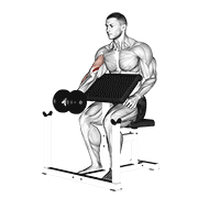 Dumbbell Preacher Curl animated exercise demonstration