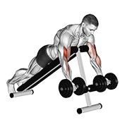 Dumbbell Prone Incline Curl animated exercise demonstration