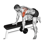 Dumbbell Rear Delt Row_shoulder animated exercise demonstration