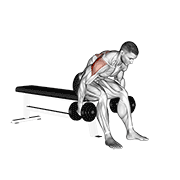 Dumbbell Rear Fly animated exercise demonstration