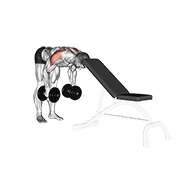Dumbbell Rear Lateral Raise (Support Head) animated exercise demonstration