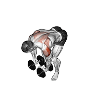 Dumbbell Rear Lateral Raise animated exercise demonstration