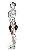 Dumbbell Rear Lunge animated exercise demonstration