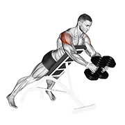 Dumbbell Reverse Fly animated exercise demonstration