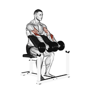 Dumbbell Reverse Preacher Curl animated exercise demonstration