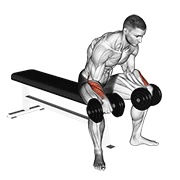 Dumbbell Reverse Wrist Curl animated exercise demonstration