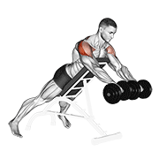 Dumbbell Rotation Reverse Fly animated exercise demonstration