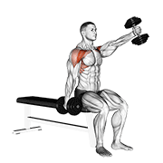 Dumbbell Seated Alternate Front Raise animated exercise demonstration