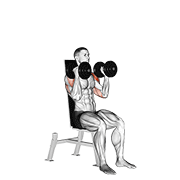 Dumbbell Seated Alternate Press animated exercise demonstration