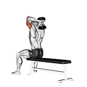 Dumbbell Seated Bench Extension animated exercise demonstration