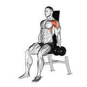 Dumbbell Seated Front Raise animated exercise demonstration