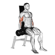 Dumbbell Seated Inner Biceps Curl animated exercise demonstration