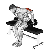 Dumbbell Seated Kickback animated exercise demonstration