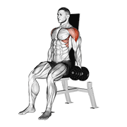 Dumbbell Seated Lateral Raise V. 2 animated exercise demonstration