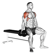 Dumbbell Seated Lateral Raise animated exercise demonstration