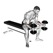 Dumbbell Seated Neutral Wrist Curl animated exercise demonstration