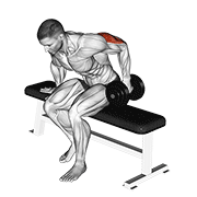Dumbbell Seated One Arm Kickback animated exercise demonstration