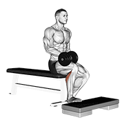 Dumbbell Seated One Leg Calf Raise animated exercise demonstration