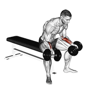 Dumbbell Seated Palms Up Wrist Curl animated exercise demonstration