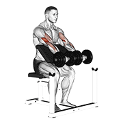 Dumbbell Seated Preacher Curl animated exercise demonstration