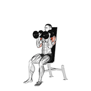 Dumbbell Seated Shoulder Press (Parallel Grip) animated exercise demonstration