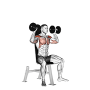 Seated dumbbell shoulder press demonstration pressing dumbbells overhead from shoulder level with neutral bench backrest